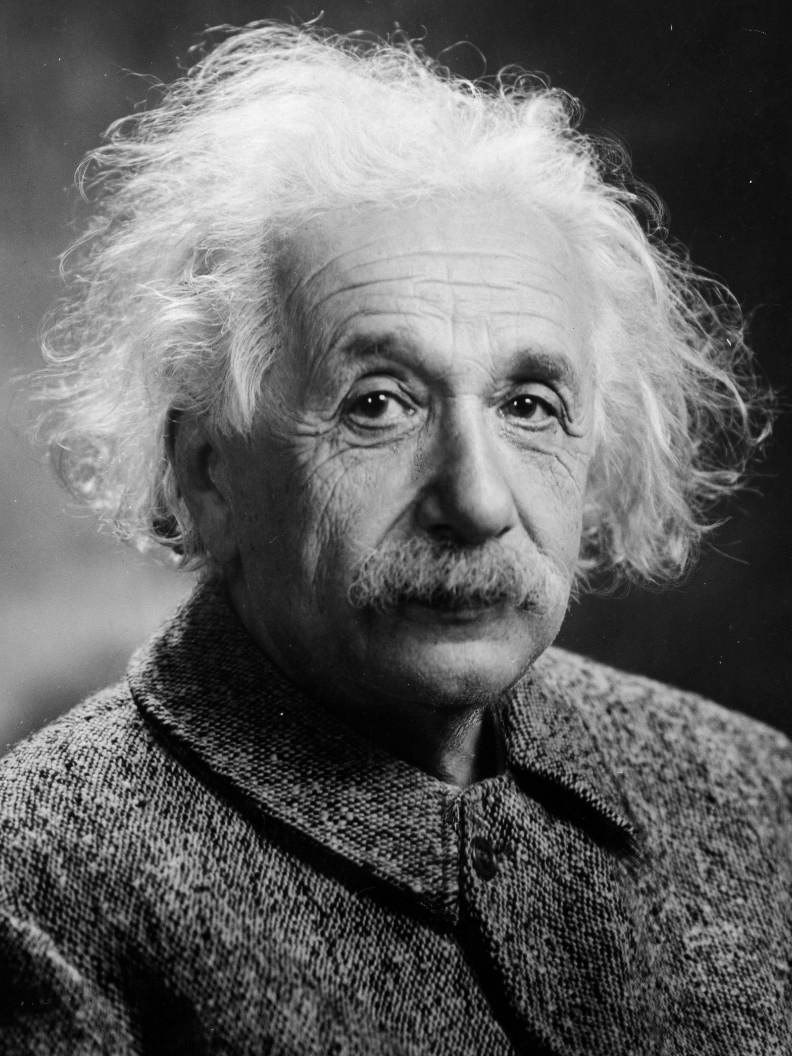 Berkas:Albert Einstein Head.jpg - Wikipedia bahasa Indonesia, ensiklopedia  bebas